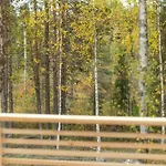 Patonkila * Ylläs