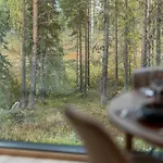 Patonkila *